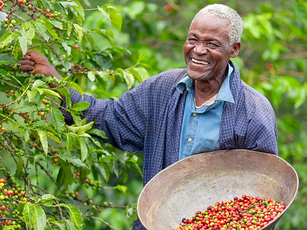 Community farming initiative
