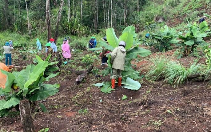 Environmental Protection, Agroforestry & Tree Planting photo 2