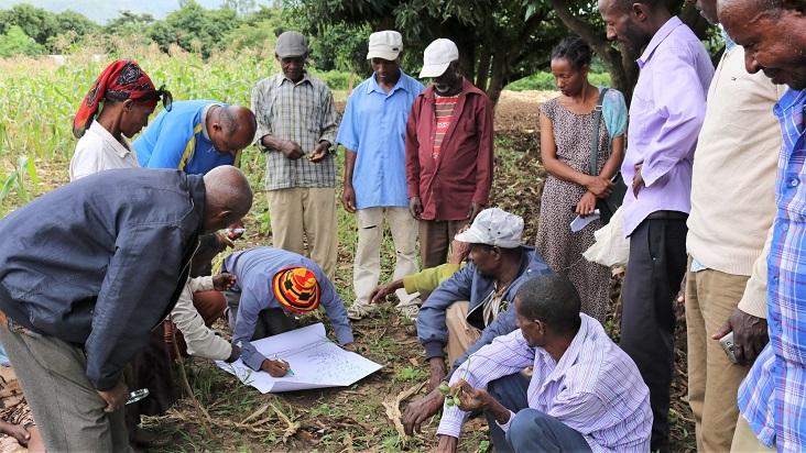 Farmer Capacity Building and Climate Information Services photo 1