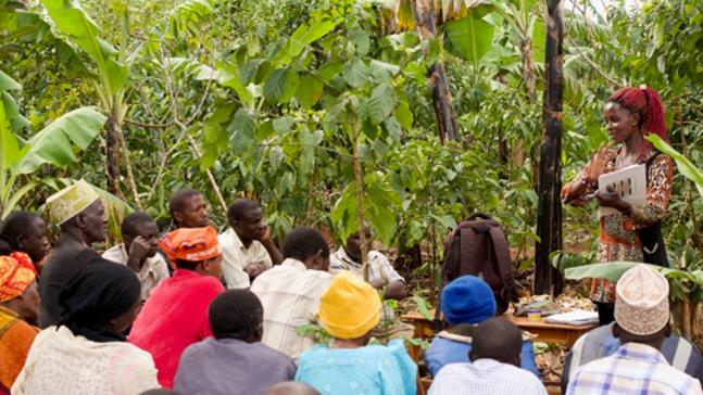 Farmer Capacity Building and Climate Information Services photo 2