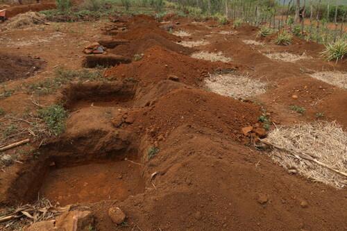 Soil and Water Conservation photo 2