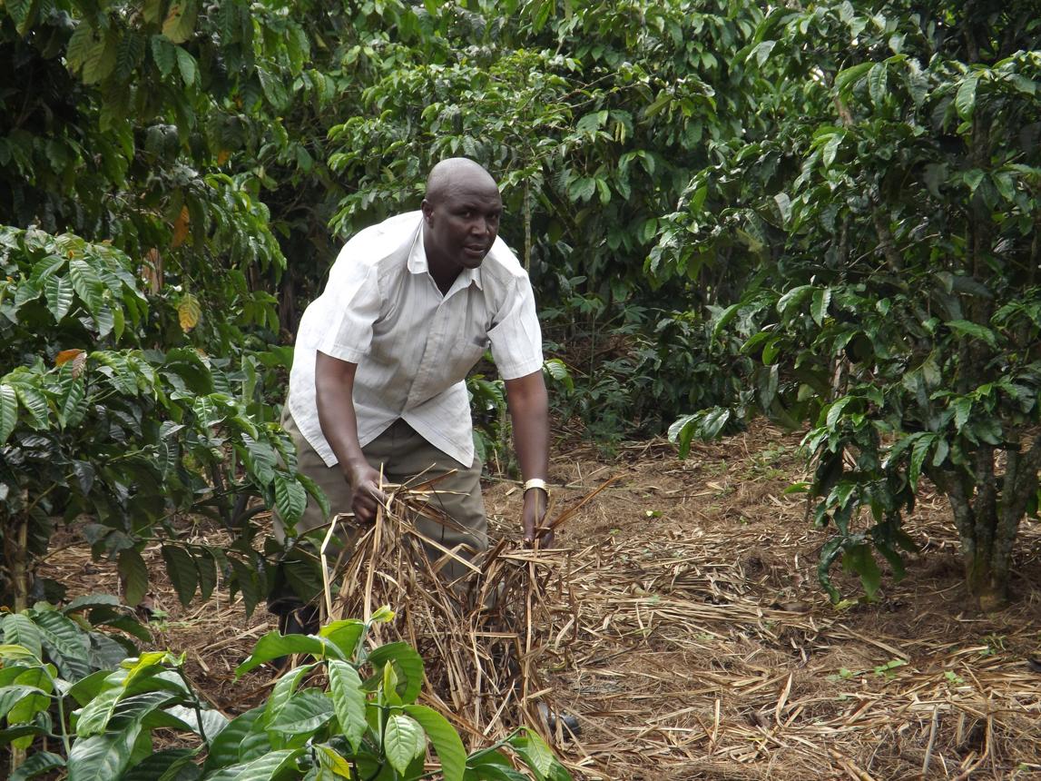 Soil and Water Conservation photo 3